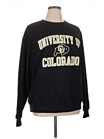 Champion Sweatshirt (view 1)