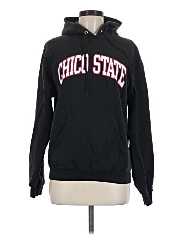 Champion Pullover Hoodie (view 1)