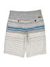 Quiksilver Stripes Gray Board Shorts Size 14 - photo 2