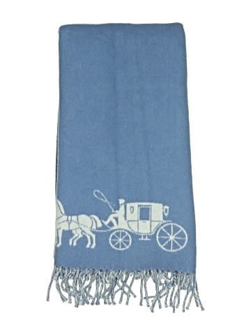 Coach Scarf (view 2)