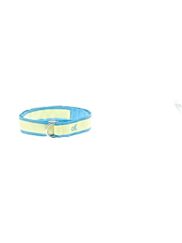 Kemestry Belt (view 1)