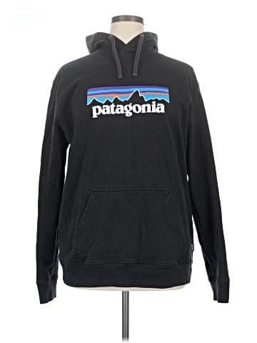 Patagonia Pullover Hoodie (view 1)