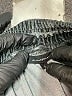 Olivaceous Graphic Gray Casual Pants Size L - photo 7