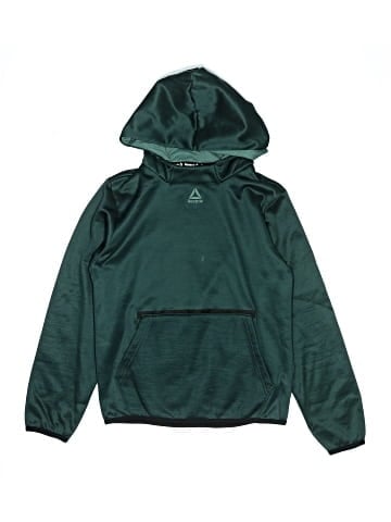 Reebok Pullover Hoodie (view 1)