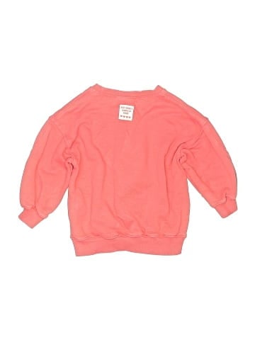 Zara Sweatshirt (view 2)