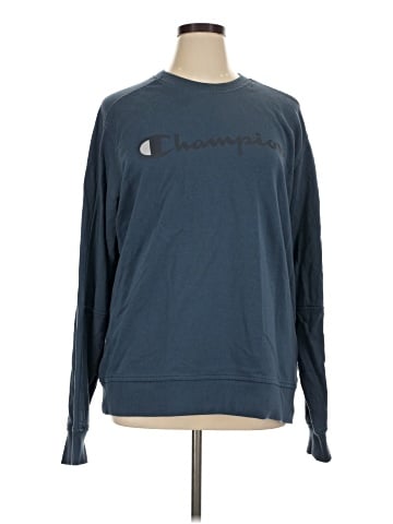 Champion Sweatshirt (view 1)