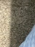 Gap Solid Blue Shorts Size 6 - photo 5
