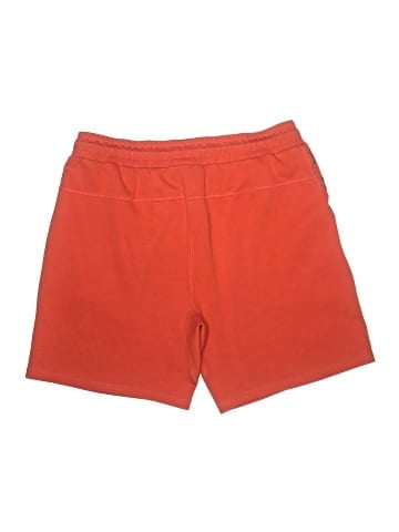 Superdry Shorts (view 2)