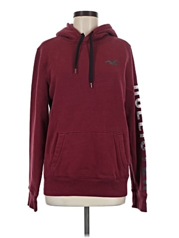 Hollister Pullover Hoodie (view 1)