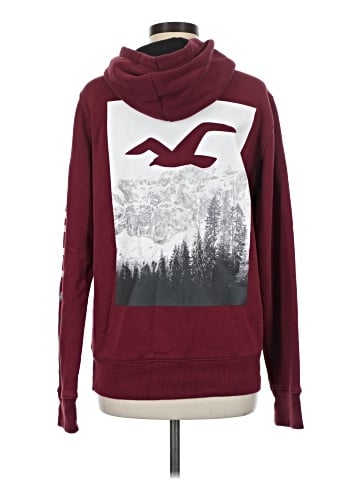 Hollister Pullover Hoodie (view 2)