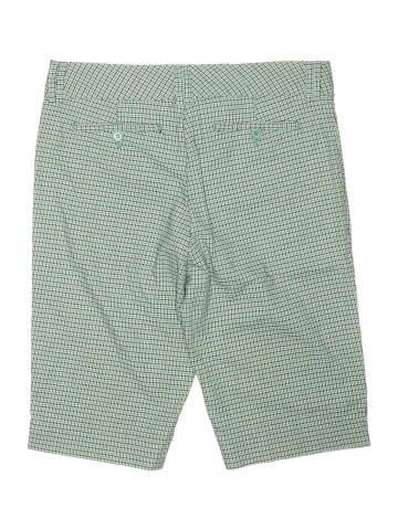 The Limited Shorts (view 2)