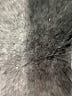 Unbranded Brown Short Sleeve Blouse Size XL - photo 7