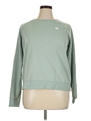 Champion Sweatshirt (view 1)