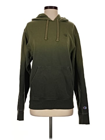 Champion Pullover Hoodie (view 1)