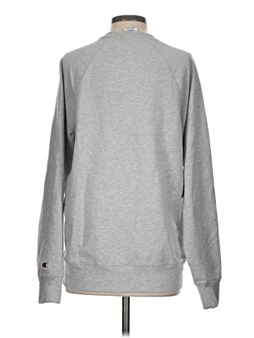 Champion Sweatshirt (view 2)