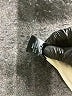 Sally LaPointe Ivory Casual Pants Size 8 - photo 8