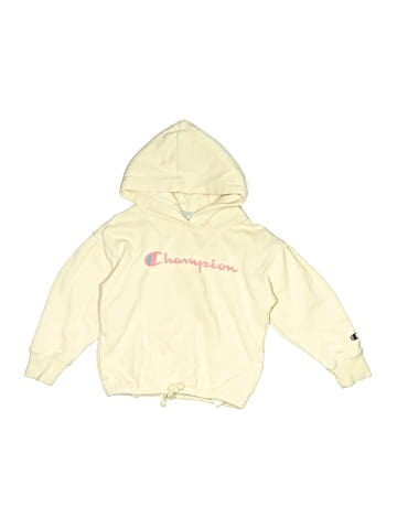 Champion Pullover Hoodie (view 1)