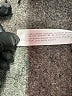 Zara Black Active Pants Size S - photo 8