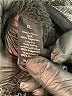Apt. 9 100% Polyester Gray Pullover Sweater Size XL - photo 8