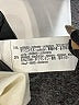 Zara Solid Ivory Skirt Size 10 - photo 4