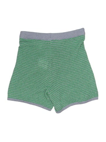Zara Shorts (view 2)