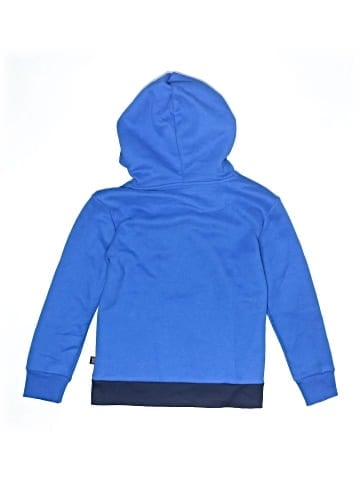 Puma Pullover Hoodie (view 2)