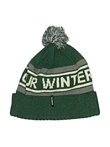 Patagonia Beanie (view 1)