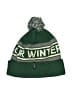 Patagonia Green Beanie One size - photo 1