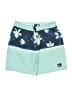 Quiksilver Teal Board Shorts Size XL (kids) - photo 1