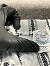 Blue Rain Stripes Silver Casual Pants Size M - photo 7