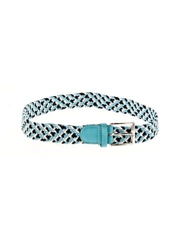 Unbranded Belt (view 1)
