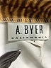 A. Byer Animal Print Tan Casual Skirt Size 7 - photo 4