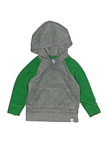 Baby Gap Outlet Pullover Hoodie (view 1)