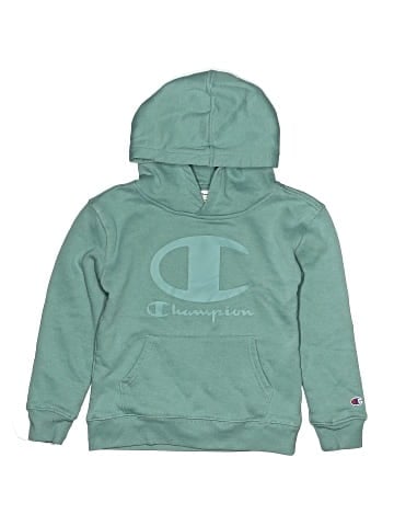 Champion Pullover Hoodie (view 1)