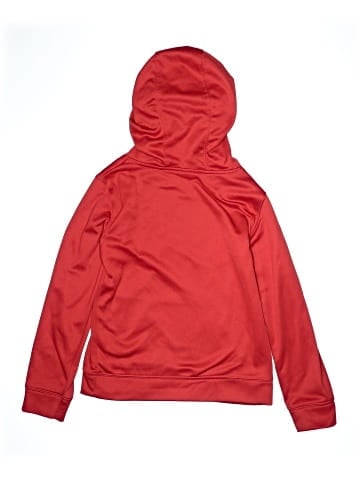 NFL Pullover Hoodie (view 2)