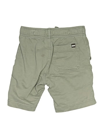 Tea Khaki Shorts (view 2)
