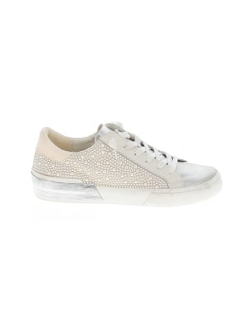 Dolce Vita Sneakers (view 1)