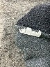 wasabi + mint Gray Pullover Sweater Size S - photo 8