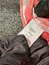 Ann Taylor LOFT Solid Orange Shorts Size 14 - photo 4