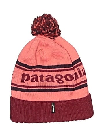Patagonia Beanie (view 1)