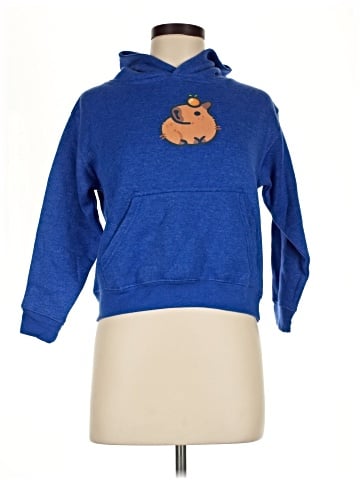 LAT Pullover Hoodie (view 1)