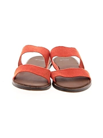 Sanuk Sandals (view 2)