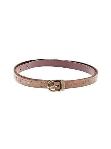 Fossil Belt (view 1)