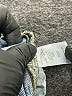 CAbi Blue Jeans Size 8 - photo 8