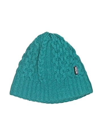 Patagonia Beanie (view 1)