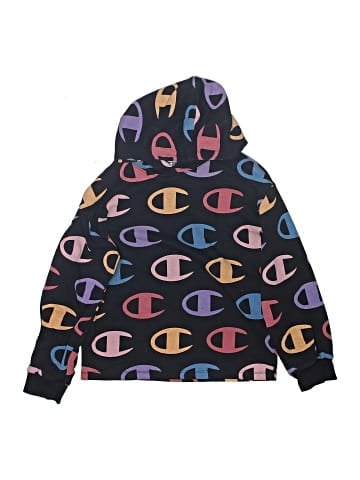 Champion Pullover Hoodie (view 1)