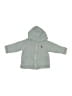 Greendog Gray Zip Up Hoodie 9-12 MO / 12 MO - photo 1
