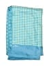 Echo Checkered-gingham Teal Scarf One size - photo 2
