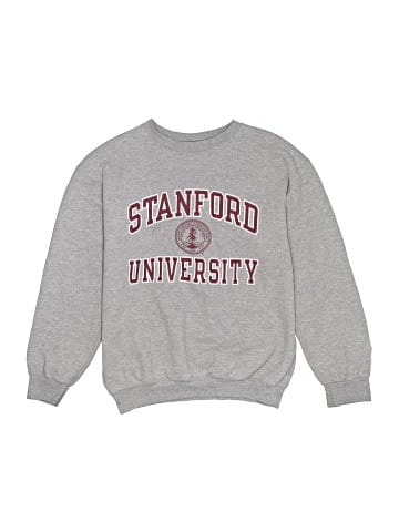 Champion Sweatshirt (view 1)
