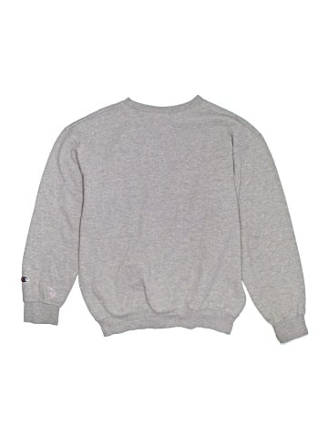 Champion Sweatshirt (view 2)